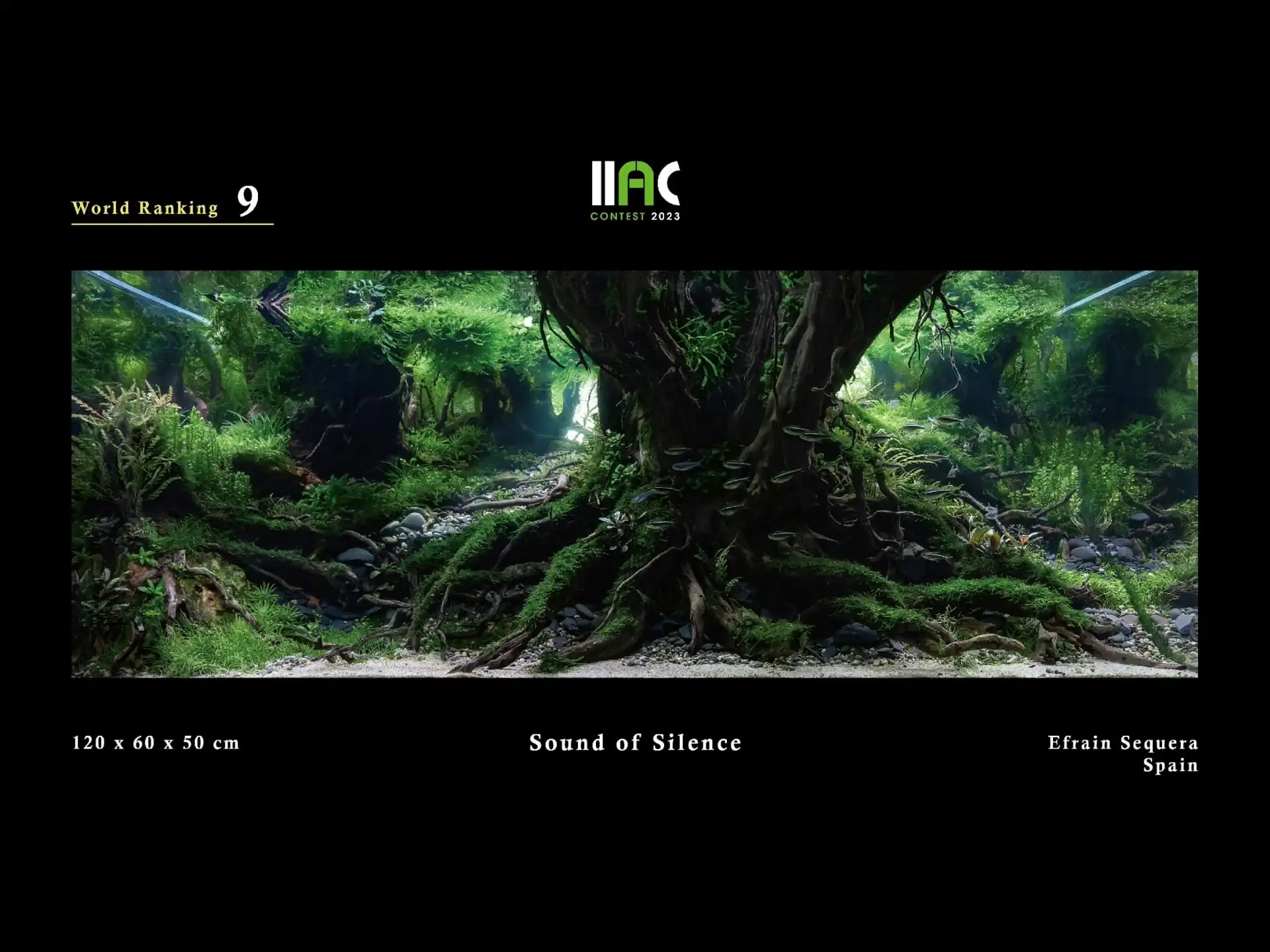 Sound of Silence - IIAC 2023 #09 Efrain Sequera / Spain